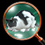 Icon for Oh Look, a Cat!