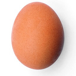 Icon for NEW EGG