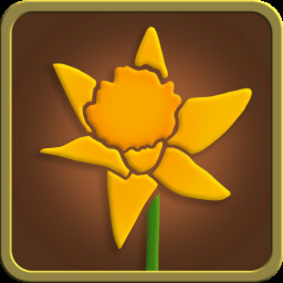 A Daffodil for a New Beginning