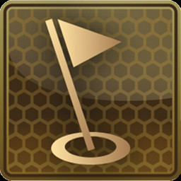 Icon for Hole in One