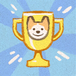 Agility Champion