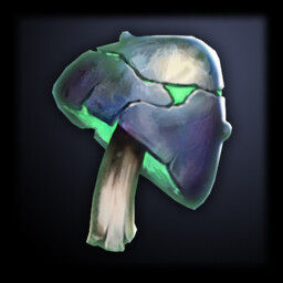 Fungal Initiate