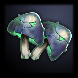 Fungal Enthusiast