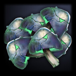 Fungal Obsessionist