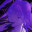 High School Dirty Secrets icon