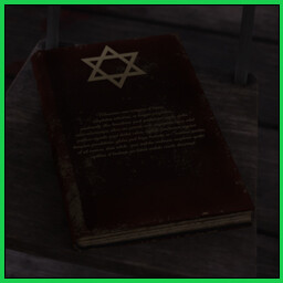 Mysterious Book!