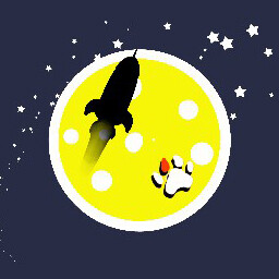 Fly meow to the moon