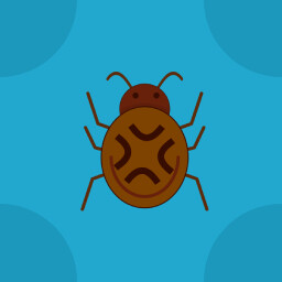 Annoyance Bug