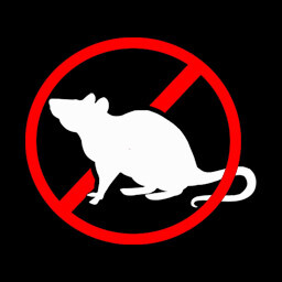Rats don't belong here