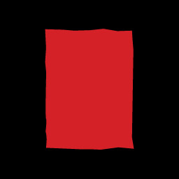 Die Wahrheit im Blick