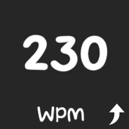 WPM 230