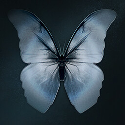 उपलब्धि चिह्न