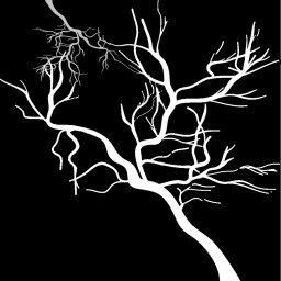 Mortem
