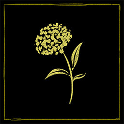 Errungenschaften-Symbol