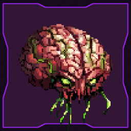 Entity X