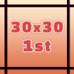 30x30 1st