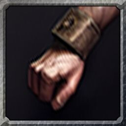 Bareknuckle Brawler