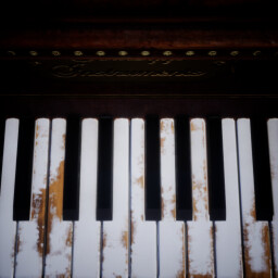 Pianist Fingers