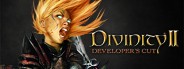 Divinity II: Developer's Cut