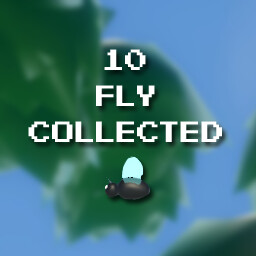 Ten Flies Collected