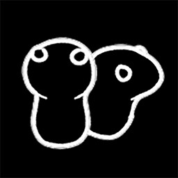 DUO
