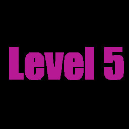 Level 5
