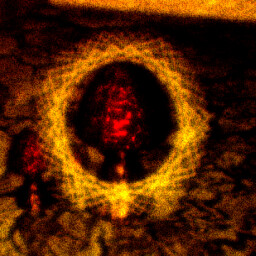 Icon for Mushroom Found