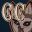 CraftCraft icon