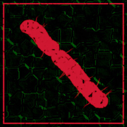 Icon for Creepy bacteria