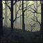 Icon for Fog in the forest