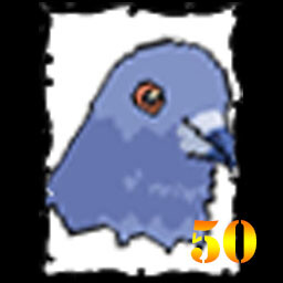 50 pigeons