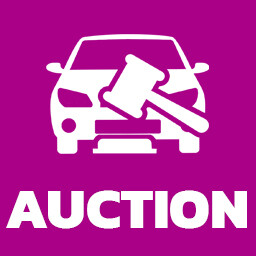 Put your 100 car to the auction