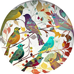 Bird Collection Plate 7