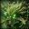 Arken Age icon