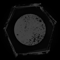 Under the Cover of Darkness