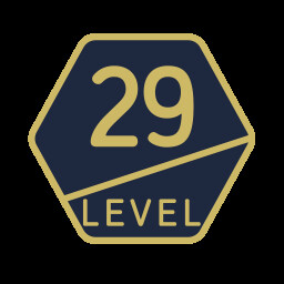 Level 29
