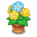 Potted Bloom