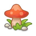 Cap Mushroom