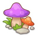 Twin Cap Mushroom