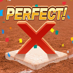 Perfect Game!