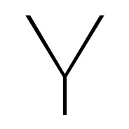 Y