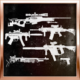 Achievement icon