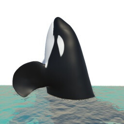 Killer whale? Friend whale!