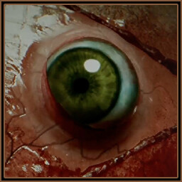 Errungenschaften-Symbol