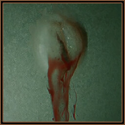 Errungenschaften-Symbol