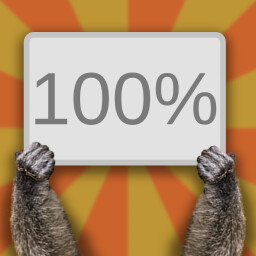 100% - All Scores