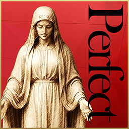 Icon for Perfect Auction 6