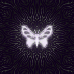 Lepidoptera