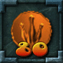 80 Medals