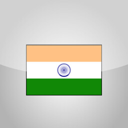 Icon for India Pro